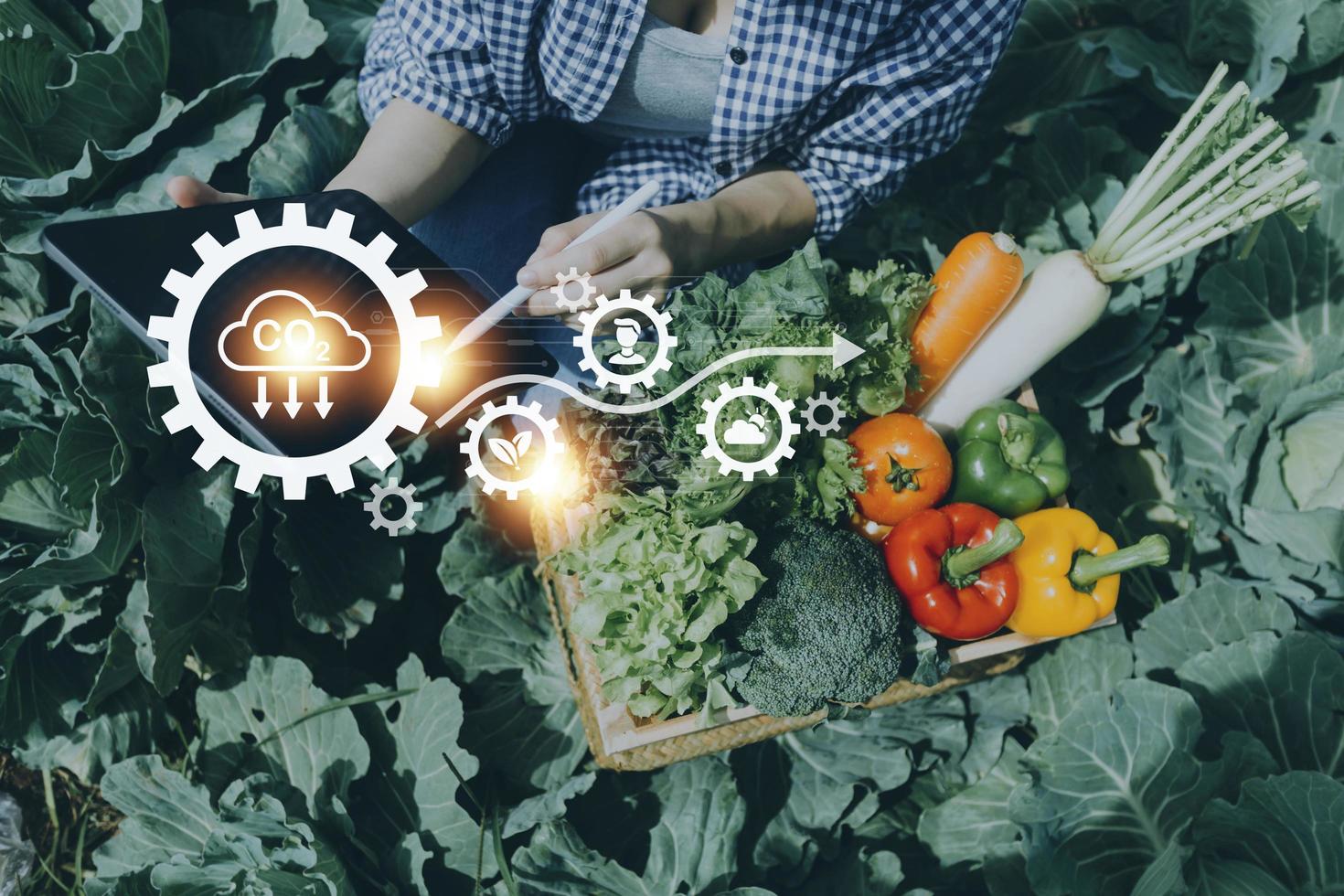 un hombre de negocios futurista cultiva verduras y cultivos usando tecnología moderna de inteligencia artificial usando teléfonos móviles, sensores de temperatura y humedad, rastreo de agua, control climático, íconos de datos holográficos. foto