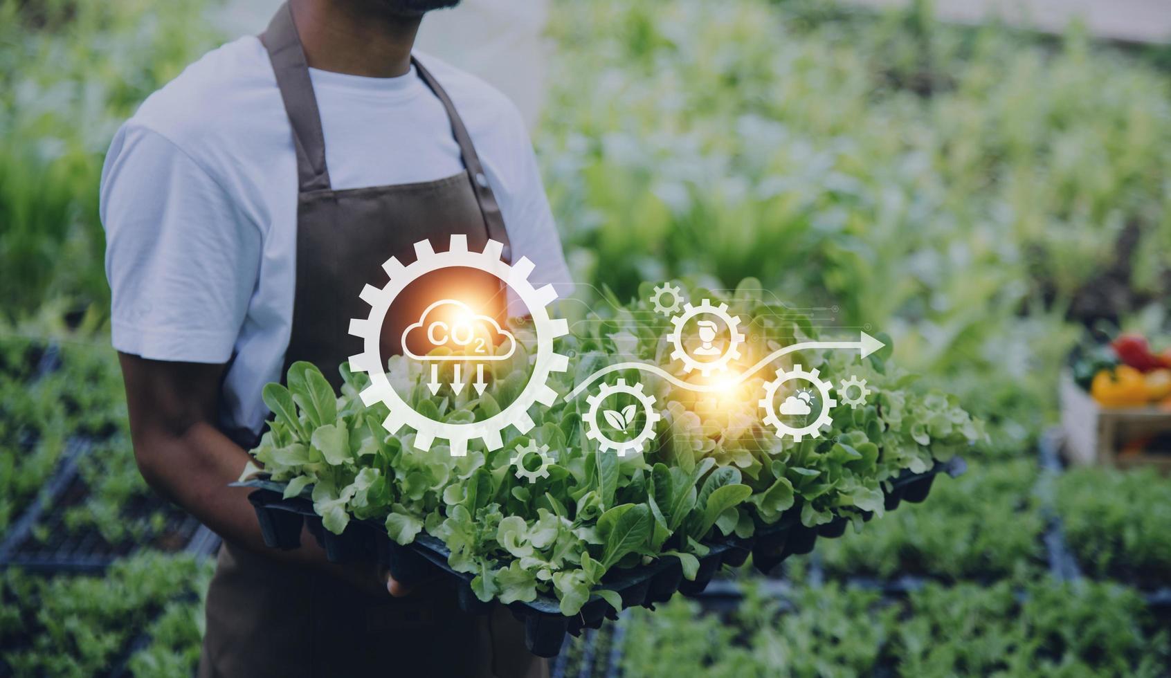 Futuristic businessman farms vegetables and crops using modern AI technology using mobile phones, temperature and humidity sensors, water tracking, climate control, holographic data data icons. photo