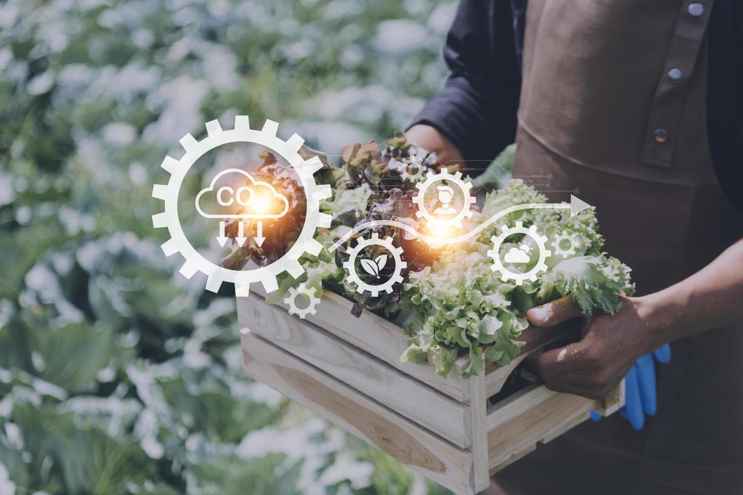 Futuristic businessman farms vegetables and crops using modern AI technology using mobile phones, temperature and humidity sensors, water tracking, climate control, holographic data data icons. photo