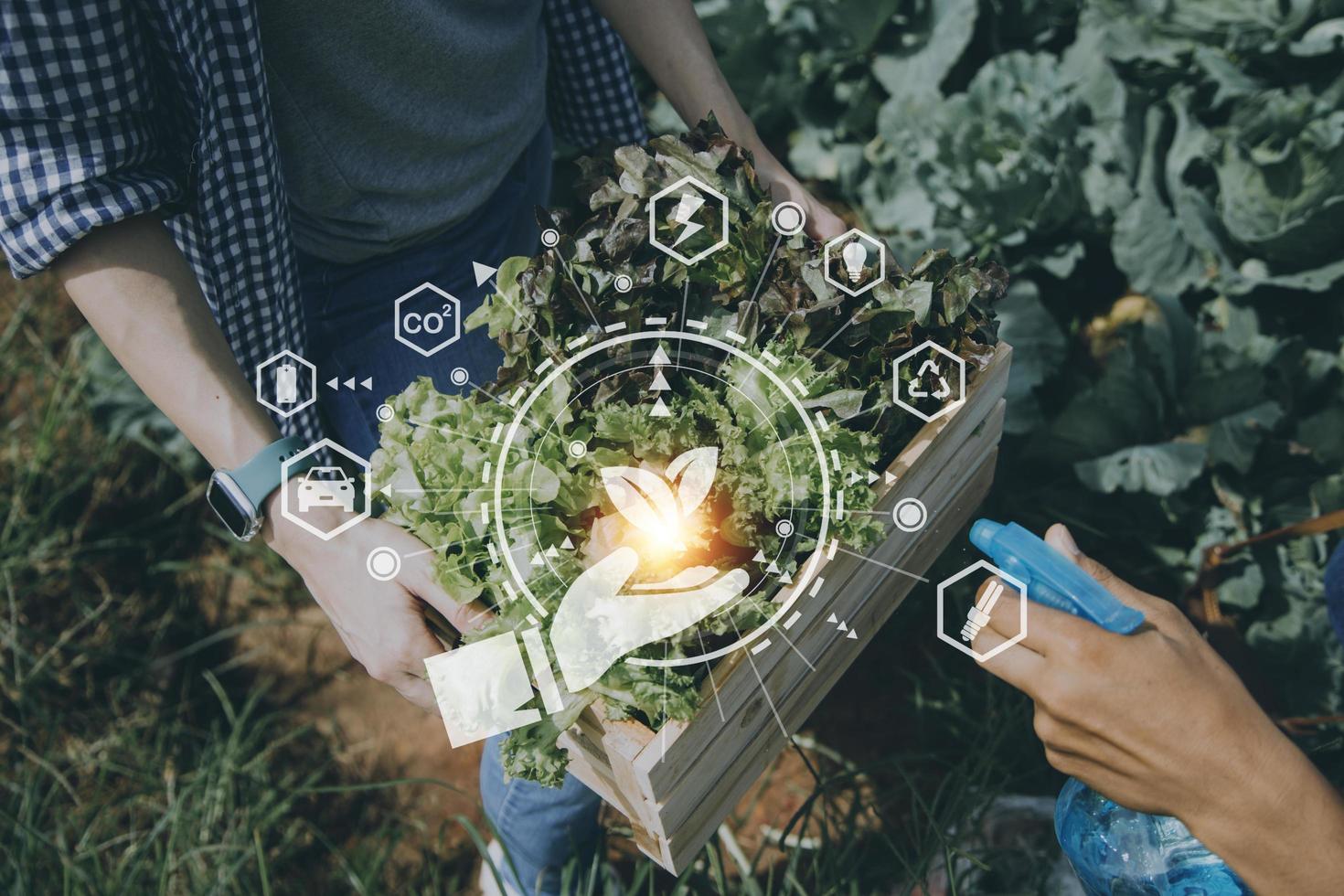 Futuristic businessman farms vegetables and crops using modern AI technology using mobile phones, temperature and humidity sensors, water tracking, climate control, holographic data data icons. photo