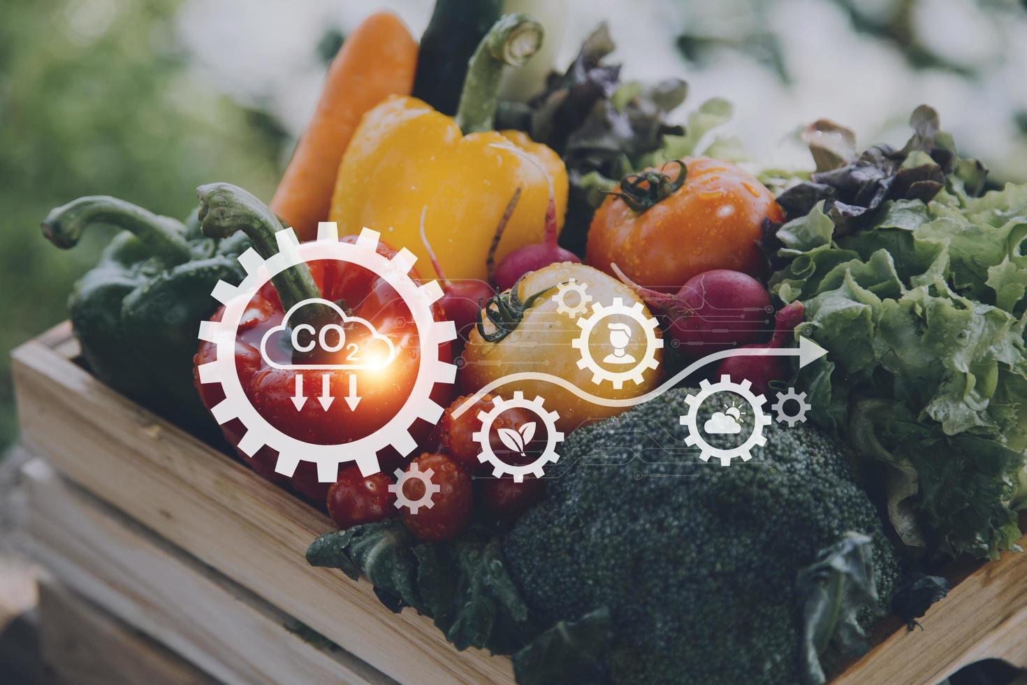 Futuristic businessman farms vegetables and crops using modern AI technology using mobile phones, temperature and humidity sensors, water tracking, climate control, holographic data data icons. photo
