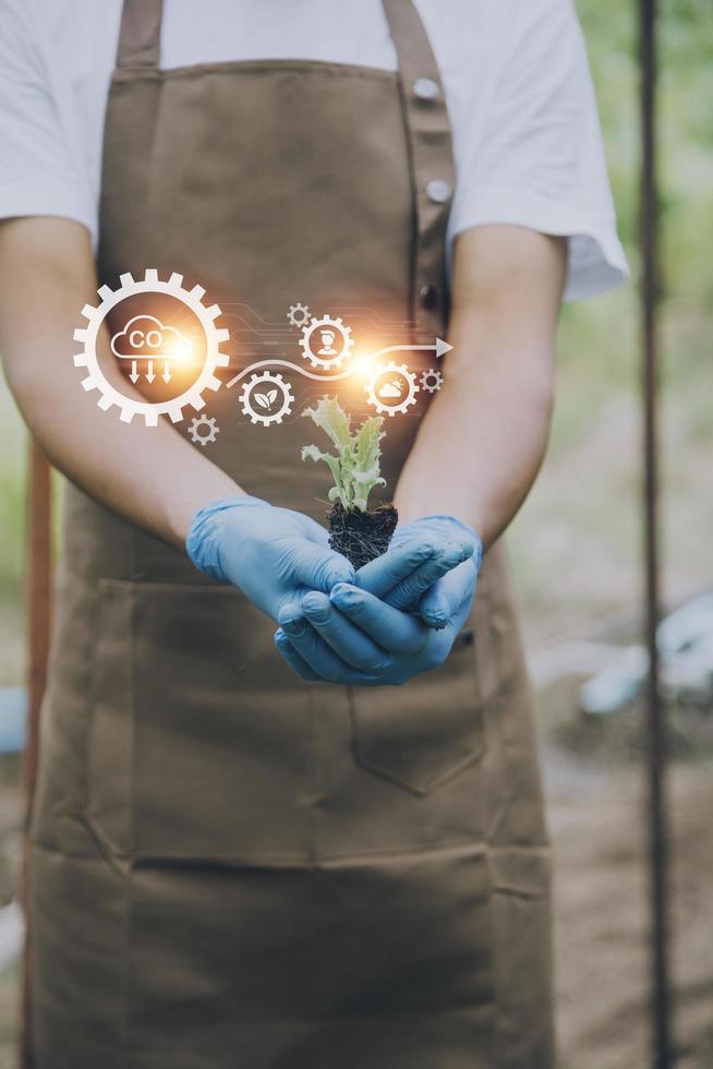 Futuristic businessman farms vegetables and crops using modern AI technology using mobile phones, temperature and humidity sensors, water tracking, climate control, holographic data data icons. photo