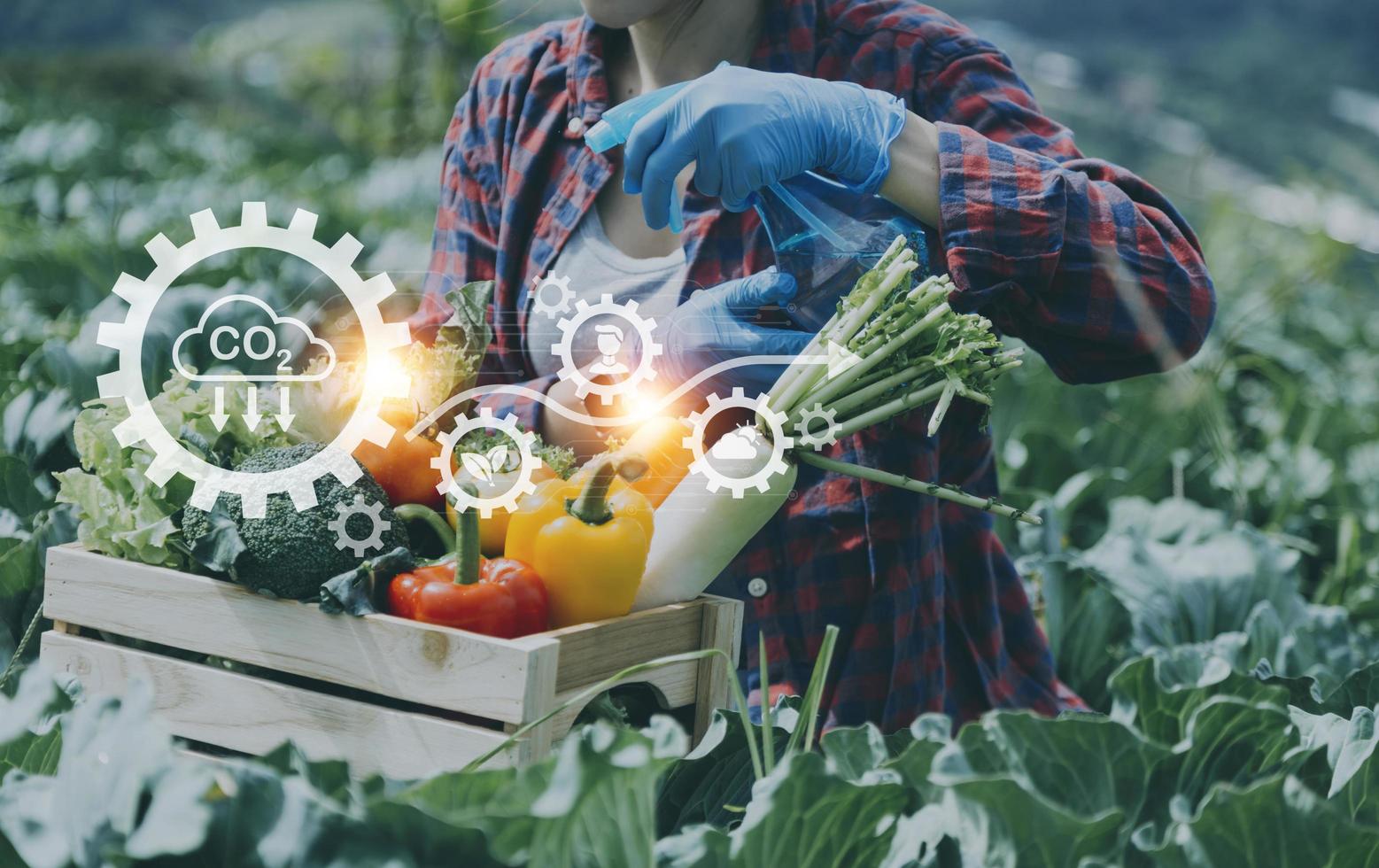 un hombre de negocios futurista cultiva verduras y cultivos usando tecnología moderna de inteligencia artificial usando teléfonos móviles, sensores de temperatura y humedad, rastreo de agua, control climático, íconos de datos holográficos. foto