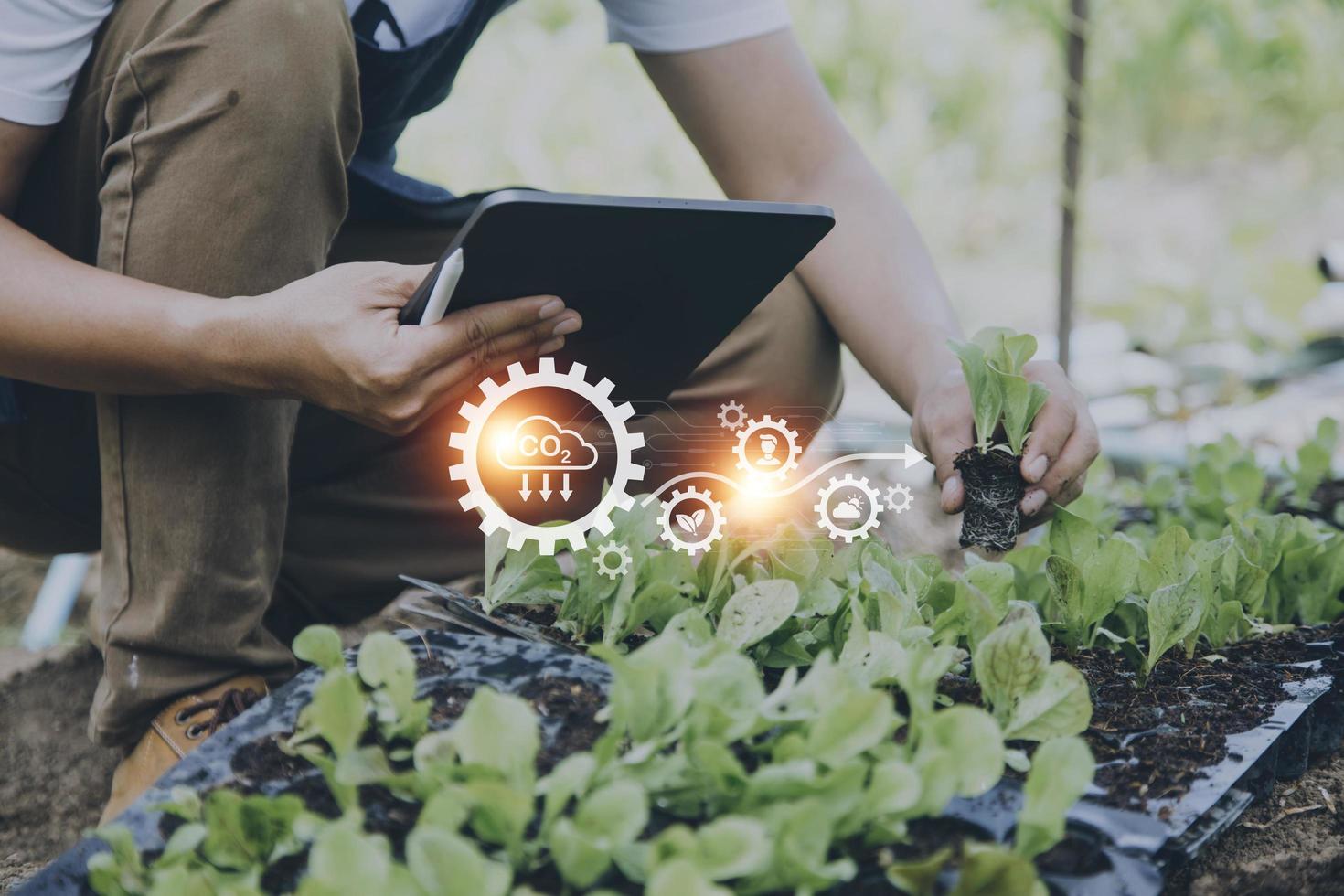 Futuristic businessman farms vegetables and crops using modern AI technology using mobile phones, temperature and humidity sensors, water tracking, climate control, holographic data data icons. photo