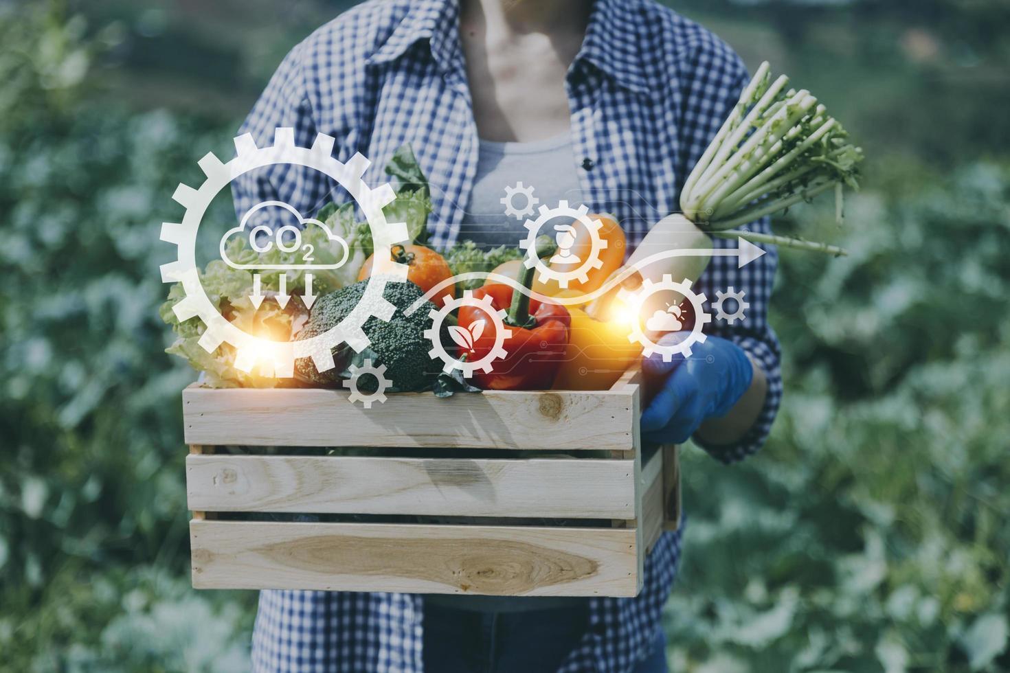 un hombre de negocios futurista cultiva verduras y cultivos usando tecnología moderna de inteligencia artificial usando teléfonos móviles, sensores de temperatura y humedad, rastreo de agua, control climático, íconos de datos holográficos. foto