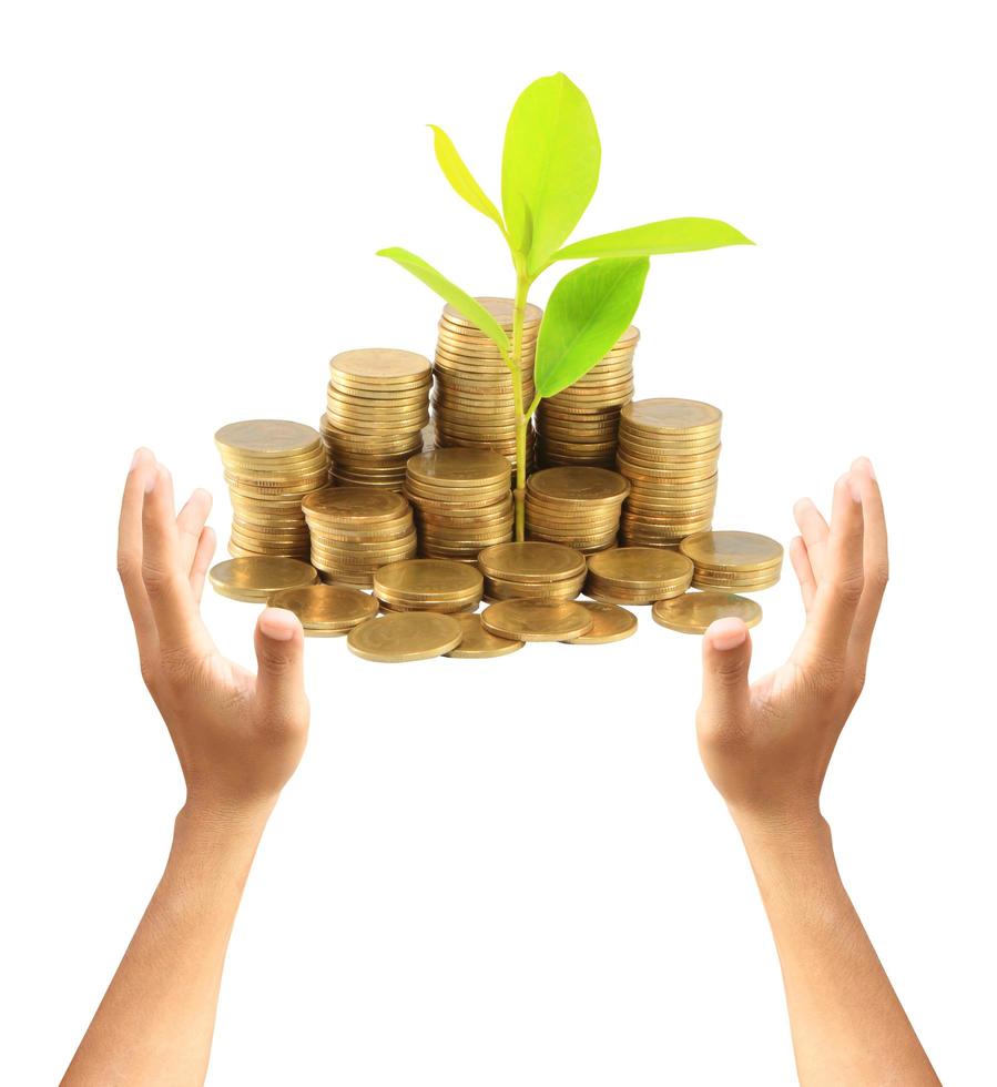 Gold coins and plant. On a white background photo