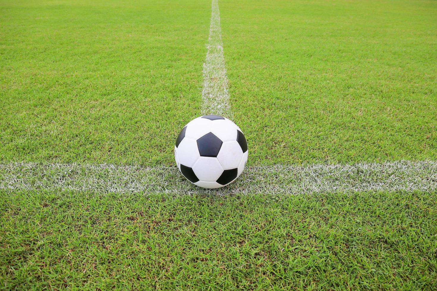 Soccer football field stadium grass line ball background texture photo