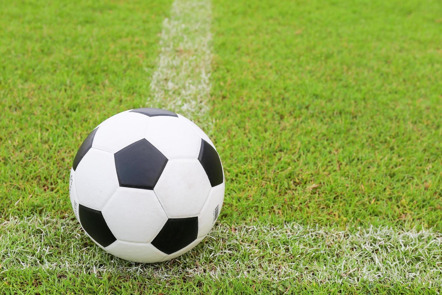 fútbol campo de fútbol estadio hierba línea bola fondo textura foto