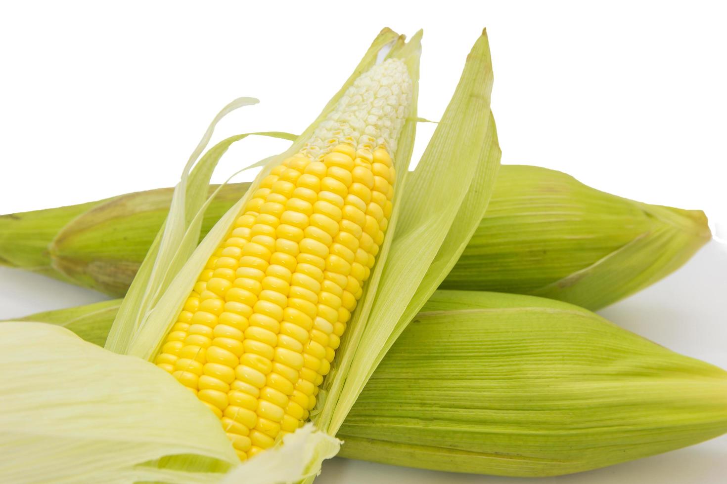 Fresh corn on cobs on white background, closeup photo