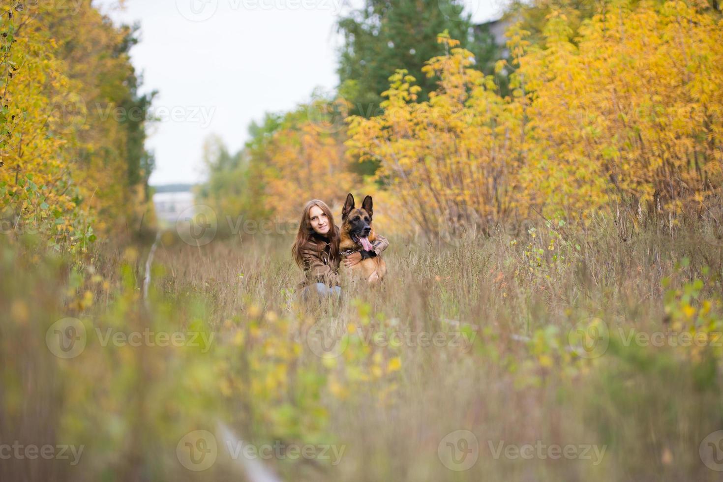 atractiva mujer joven caminando con su perro pastor alemán en el bosque de otoño, cerca de la vía férrea - gran angular foto