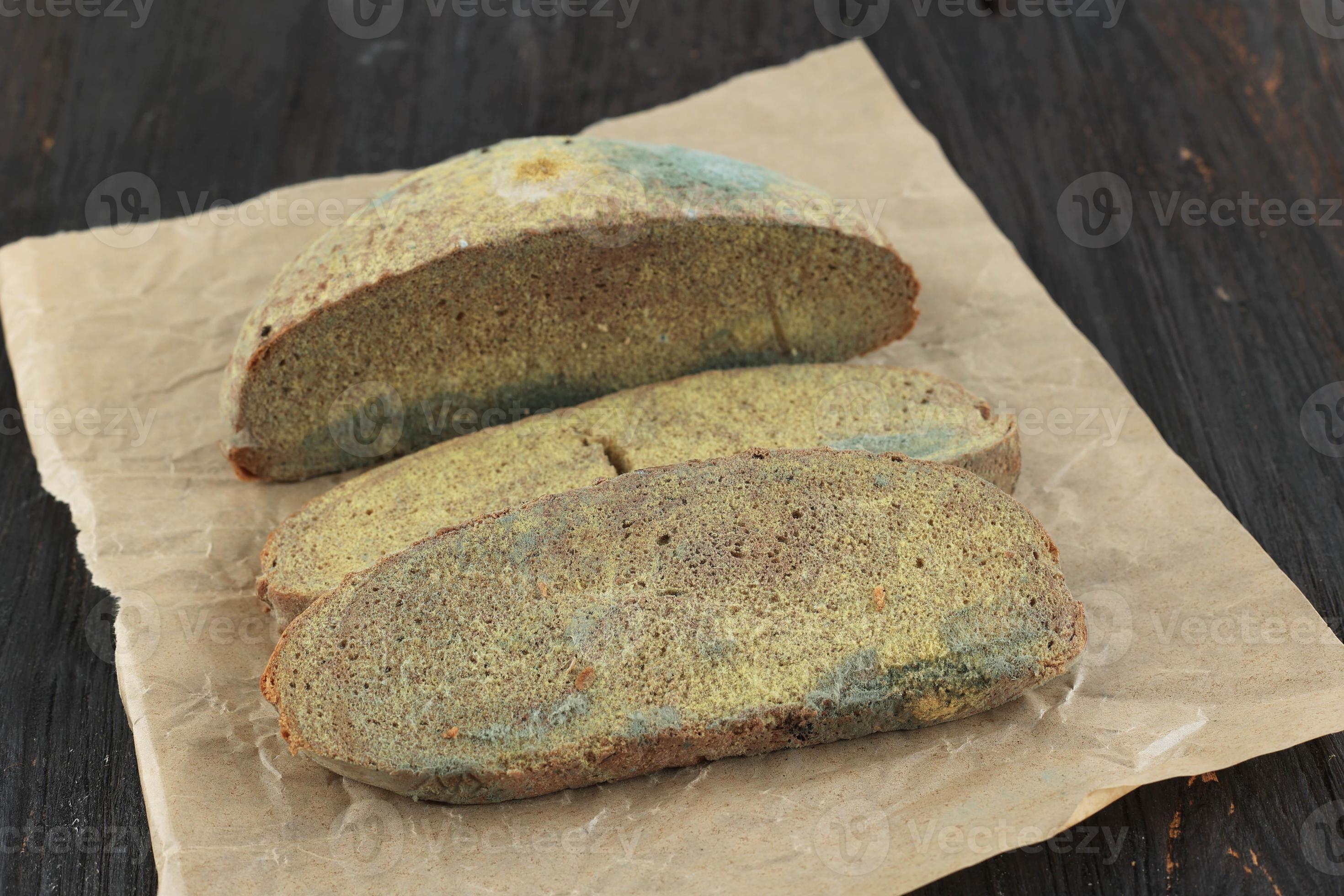 green mildew on a stale bread. Surface of moldy bread. Spoiled bread with mold. Moldy fungus on