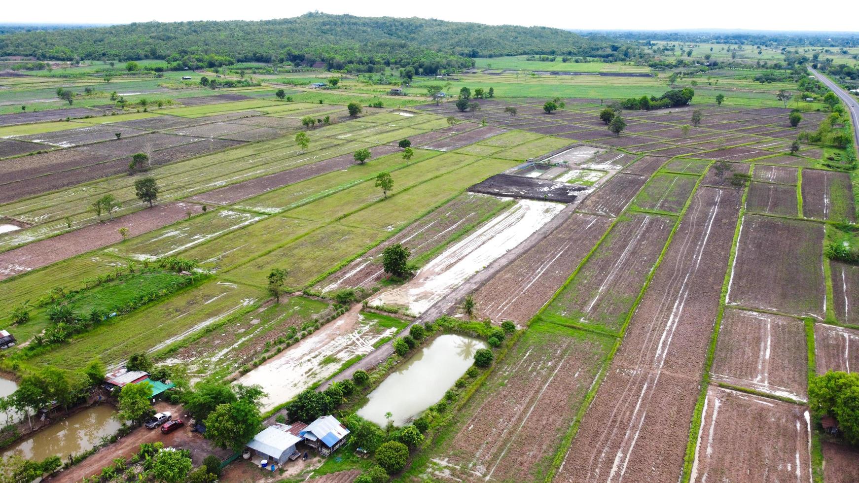 vista aérea de campos verdes y tierras de cultivo en las zonas rurales de tailandia. foto