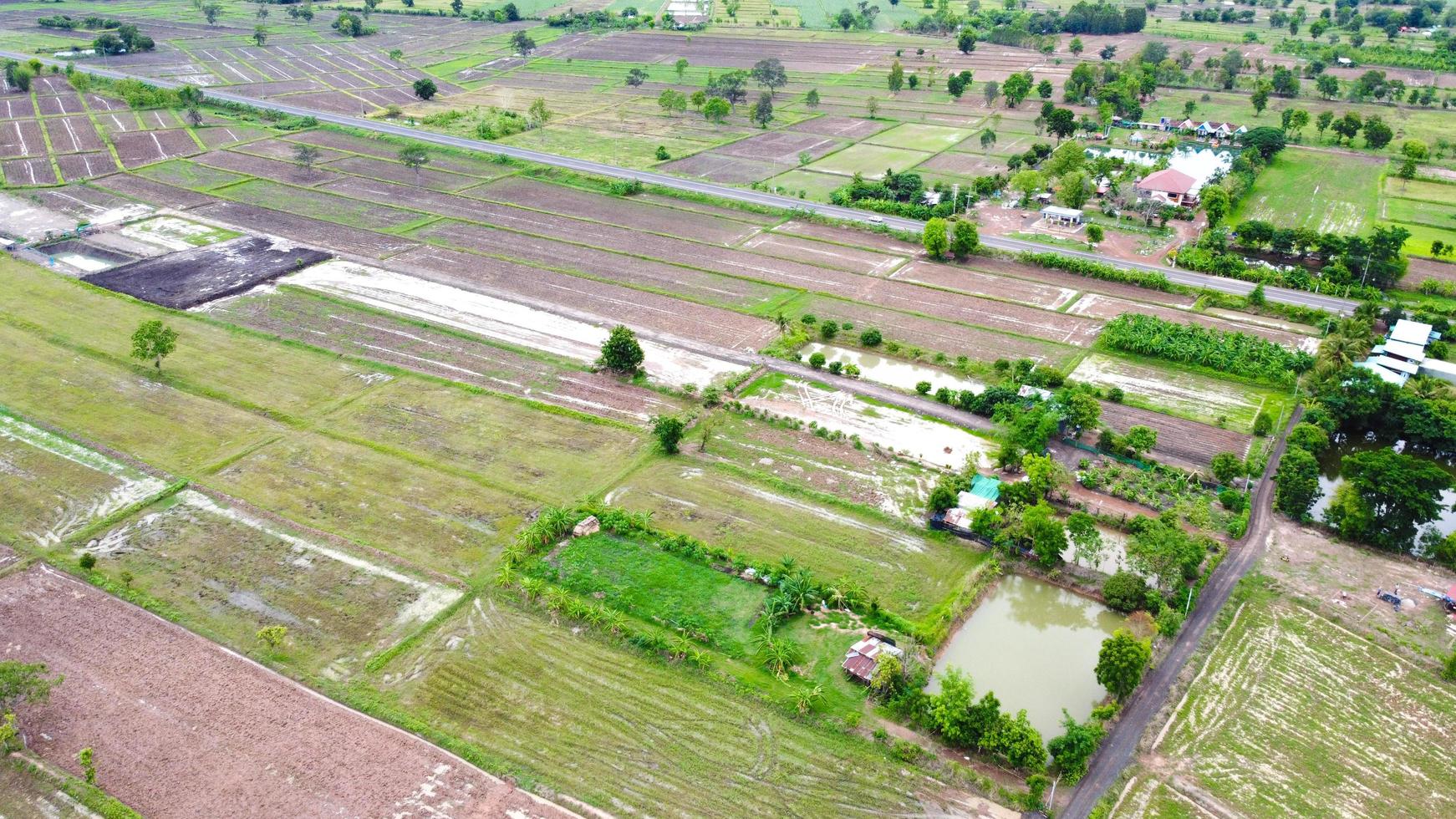 Aerial view of green fields and farmlands in rural Thailand. photo