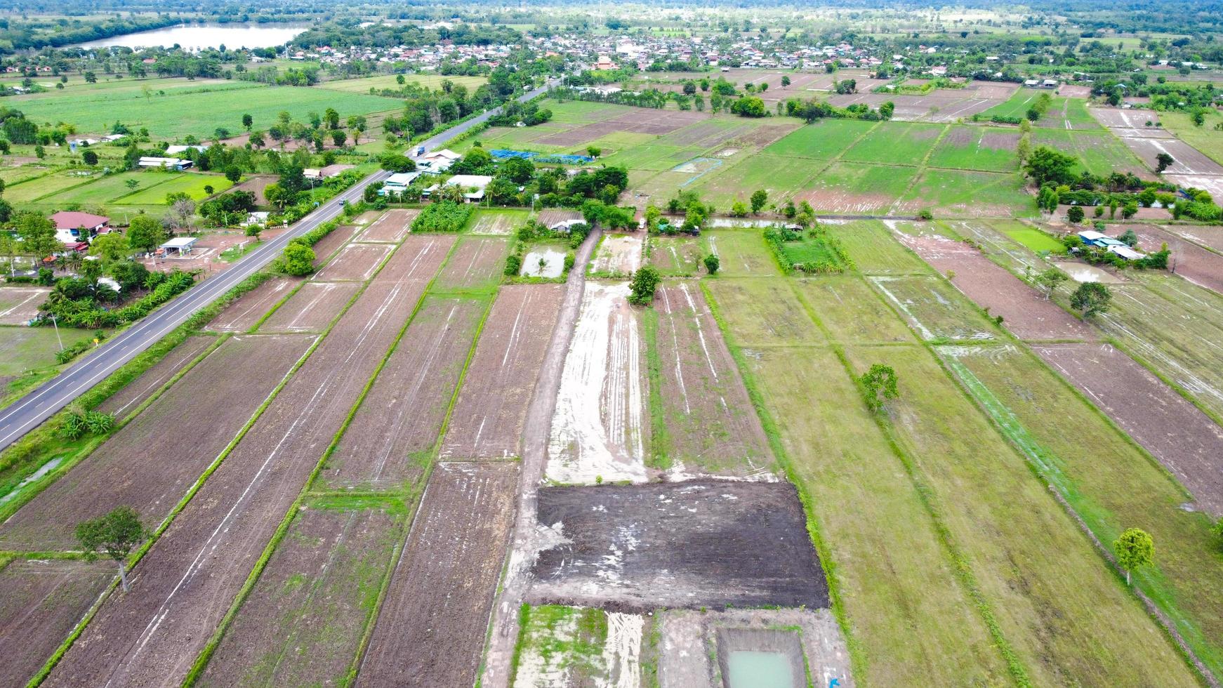 Aerial view of green fields and farmlands in rural Thailand. photo