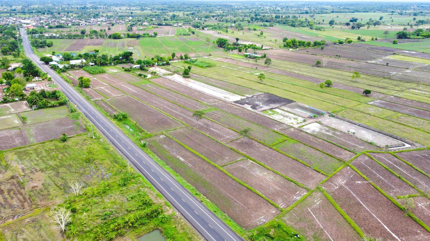 Aerial view of green fields and farmlands in rural Thailand. photo