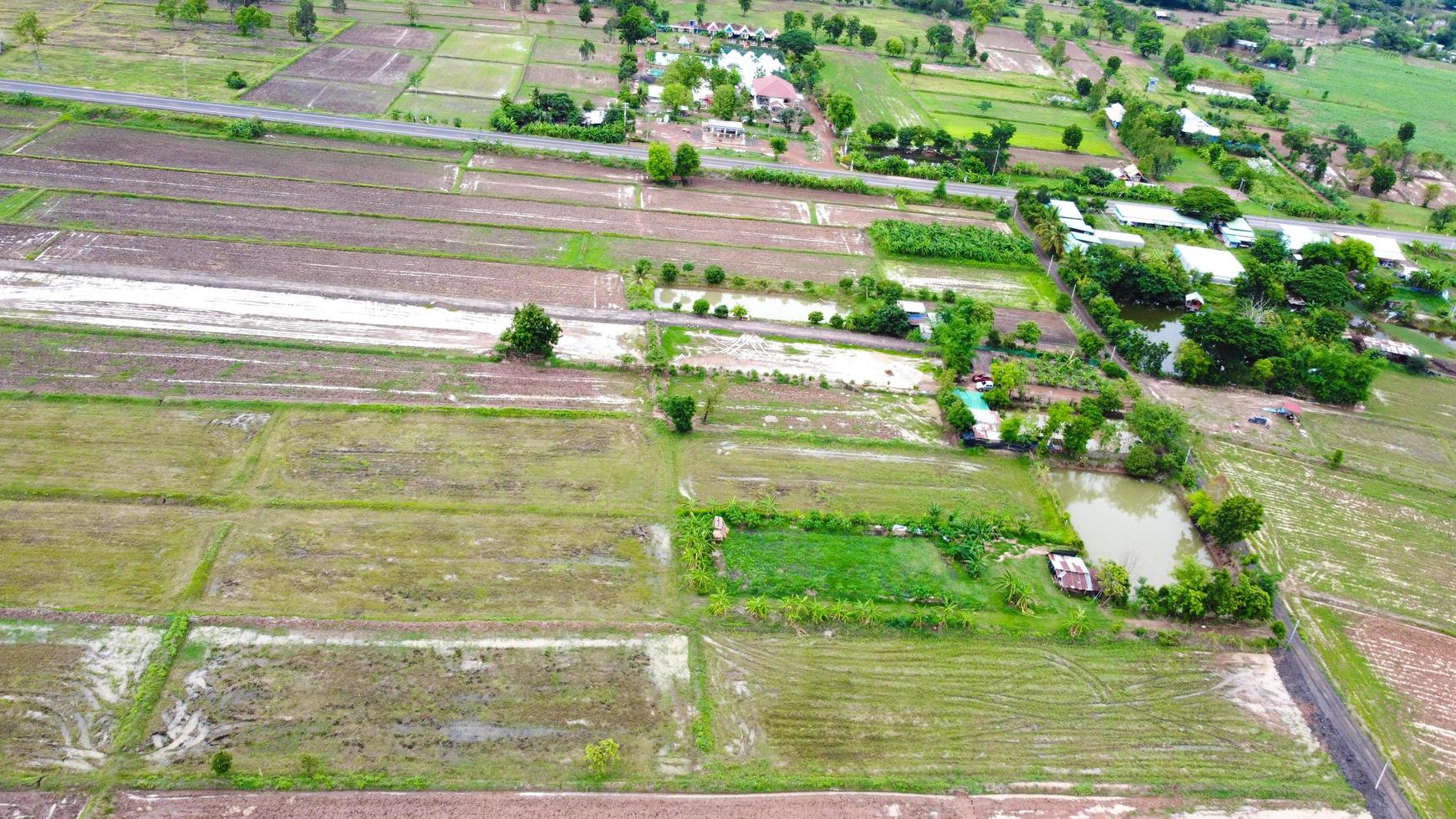 Aerial view of green fields and farmlands in rural Thailand. photo