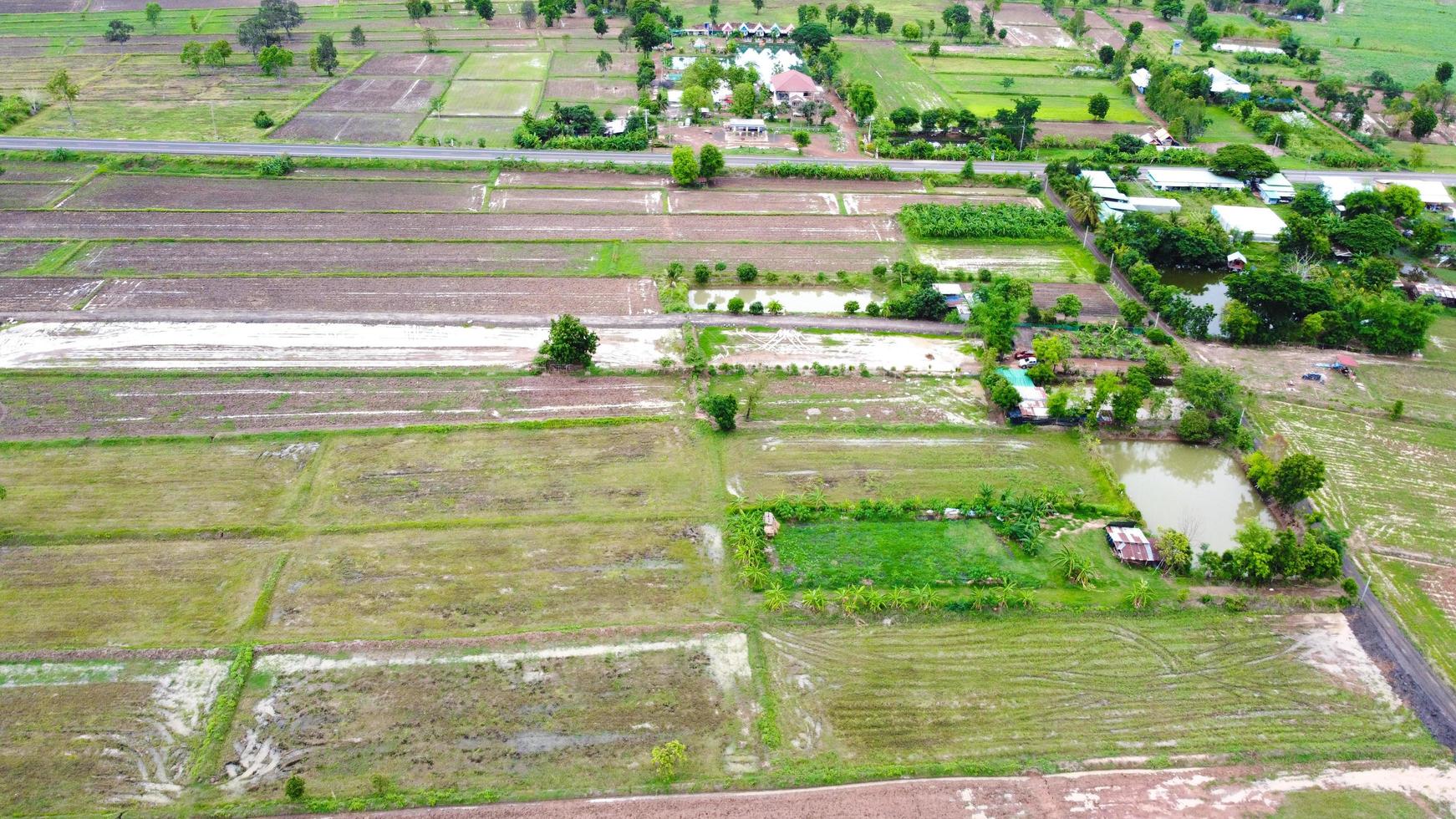 vista aérea de campos verdes y tierras de cultivo en las zonas rurales de tailandia foto