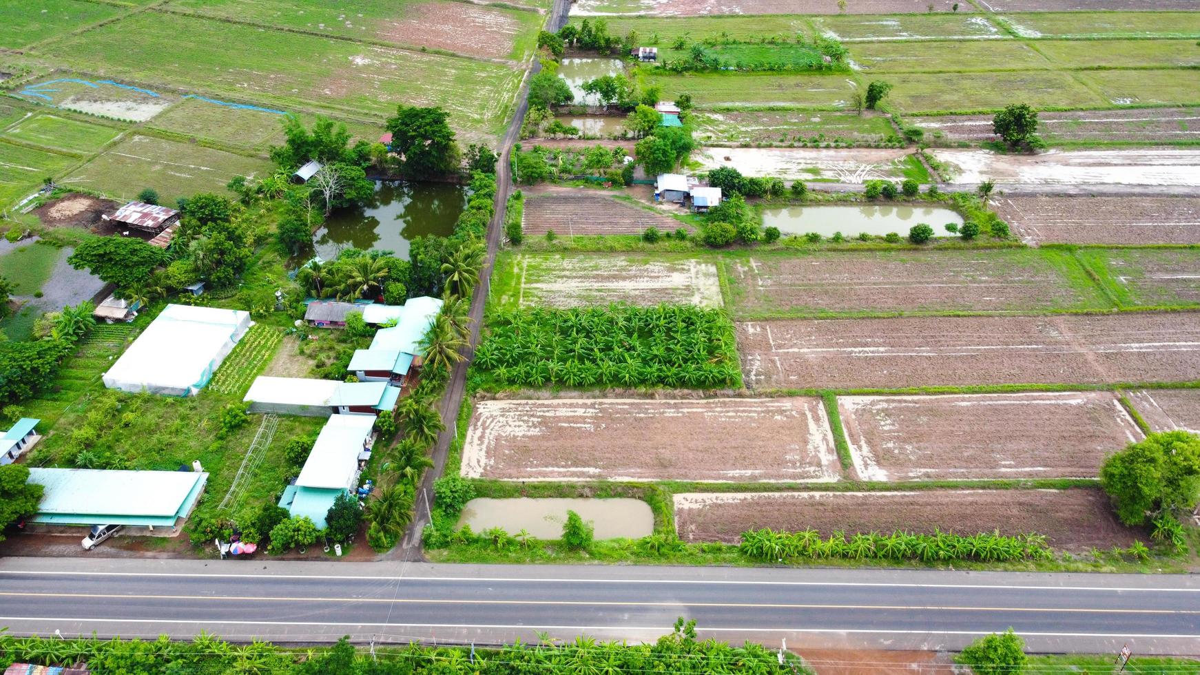 Aerial view of green fields and farmlands in rural Thailand. photo