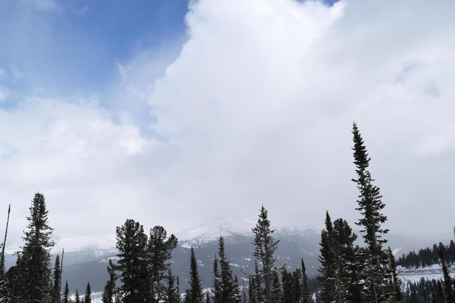 the nature of Siberia. Sayan Mountains photo