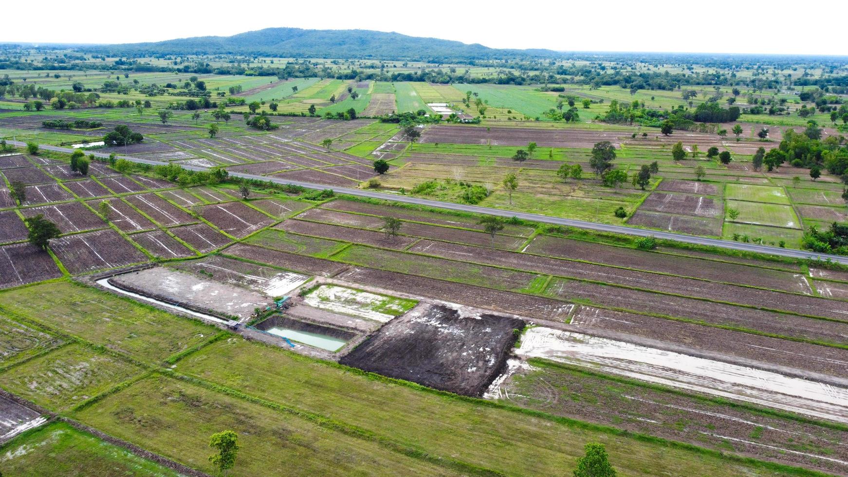 vista aérea de campos verdes y tierras de cultivo en las zonas rurales de tailandia. foto