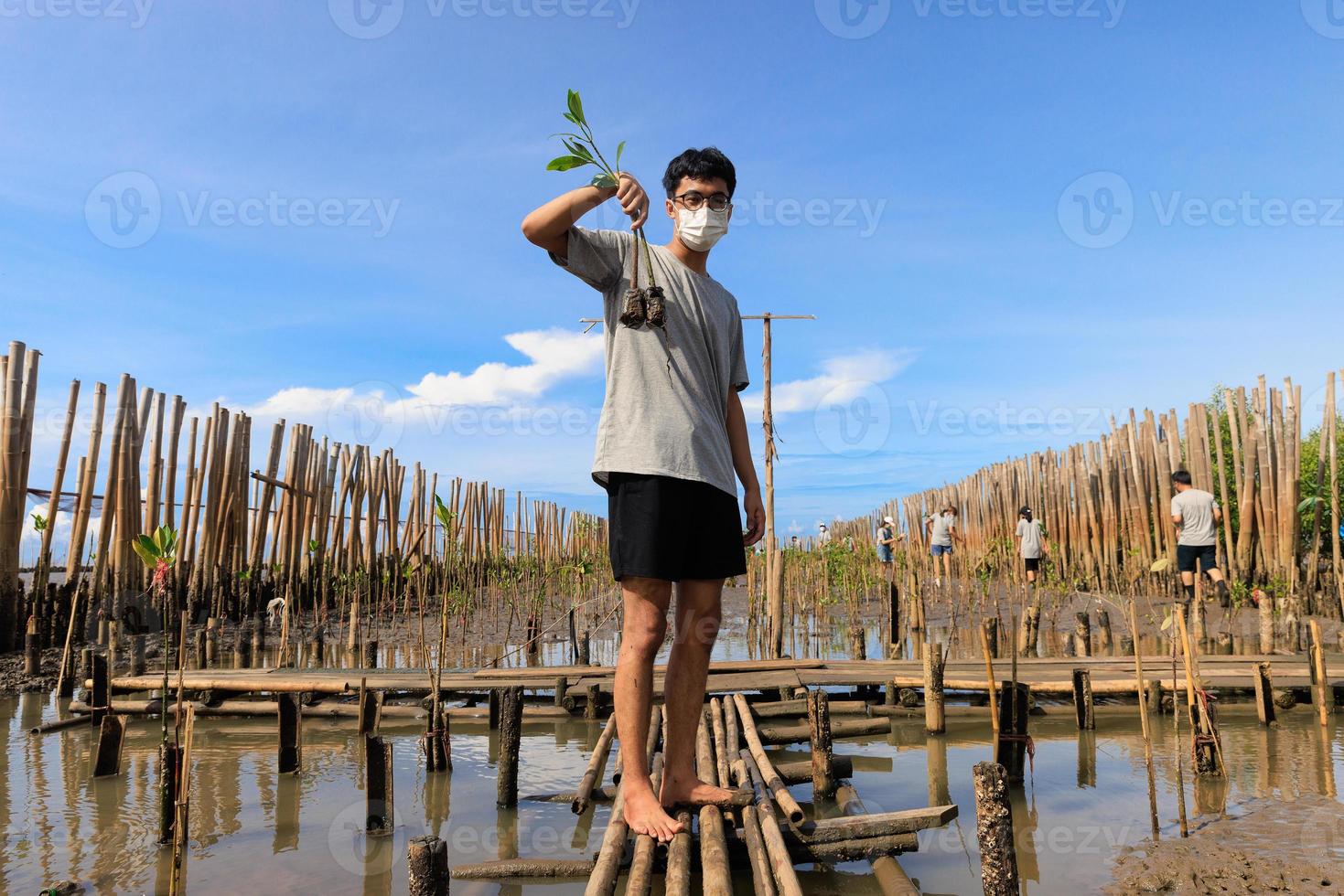 Asian teenage boy Volunteer to reforest mangrove forest rehabilitation holding saplings to plant in the muddy soil. photo