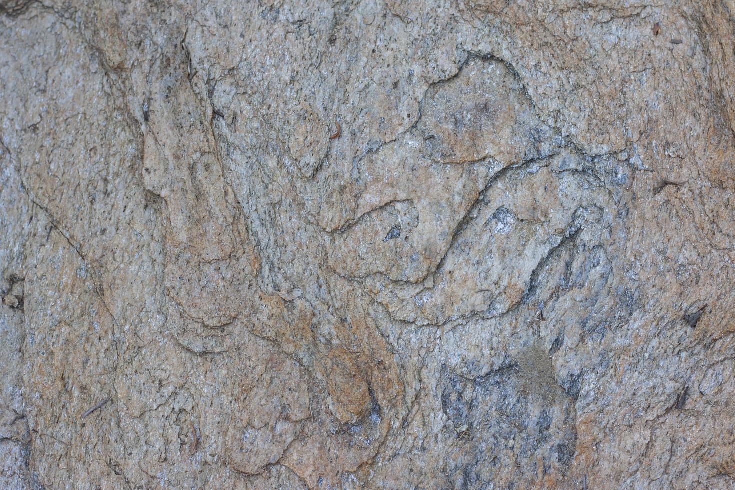 la superficie de la piedra en la orilla del mar se arrastra al agua del mar durante mucho tiempo en busca de fondos y texturas. foto