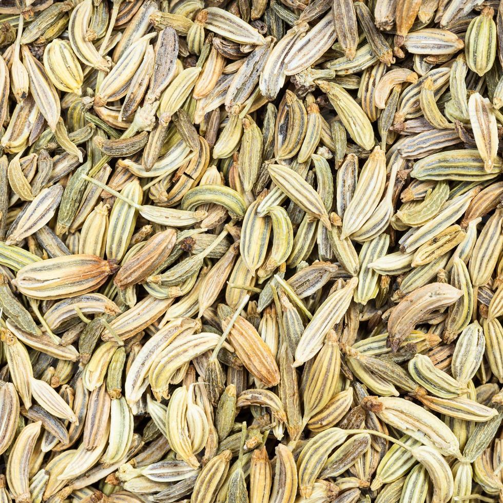 dried fennel seeds close up photo