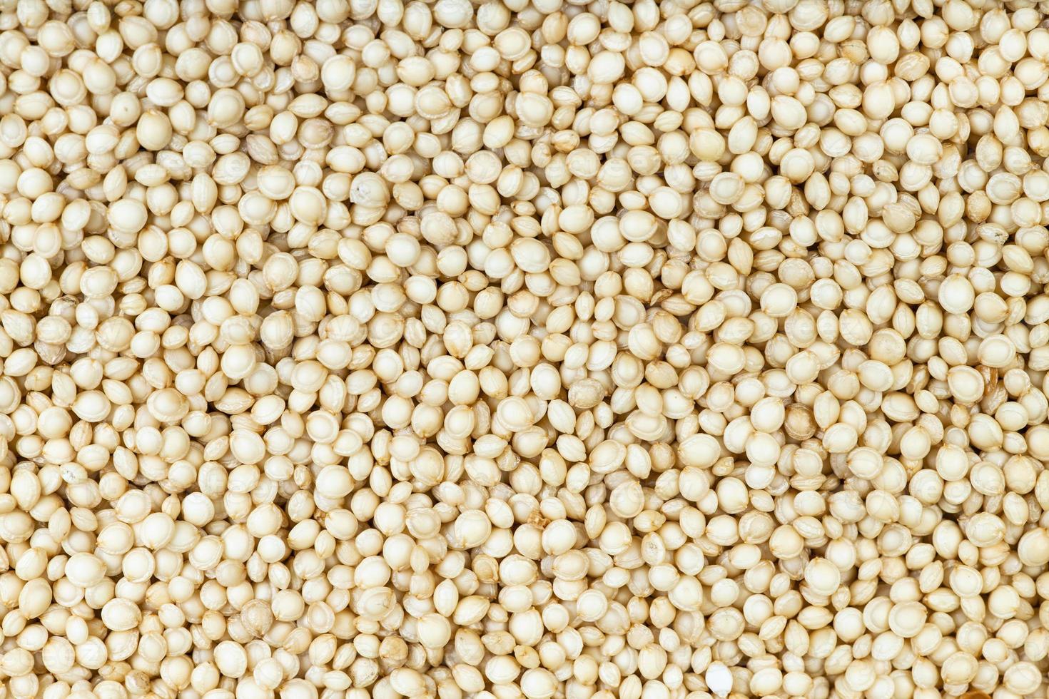 top view of raw amaranth grains photo