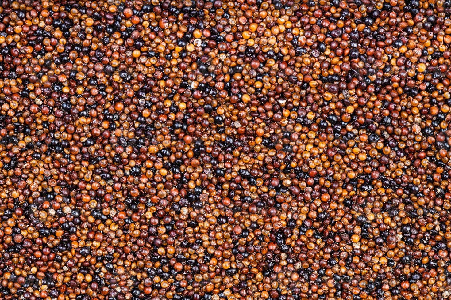 background - many raw canihua grains photo