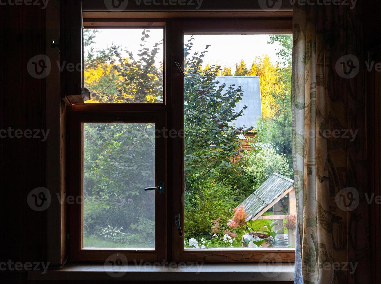 view of green backyard with well through window photo