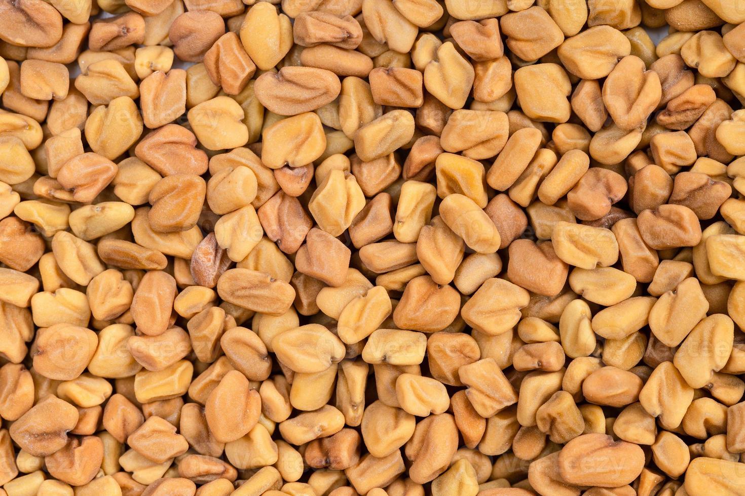 background - many whole fenugreek seeds photo