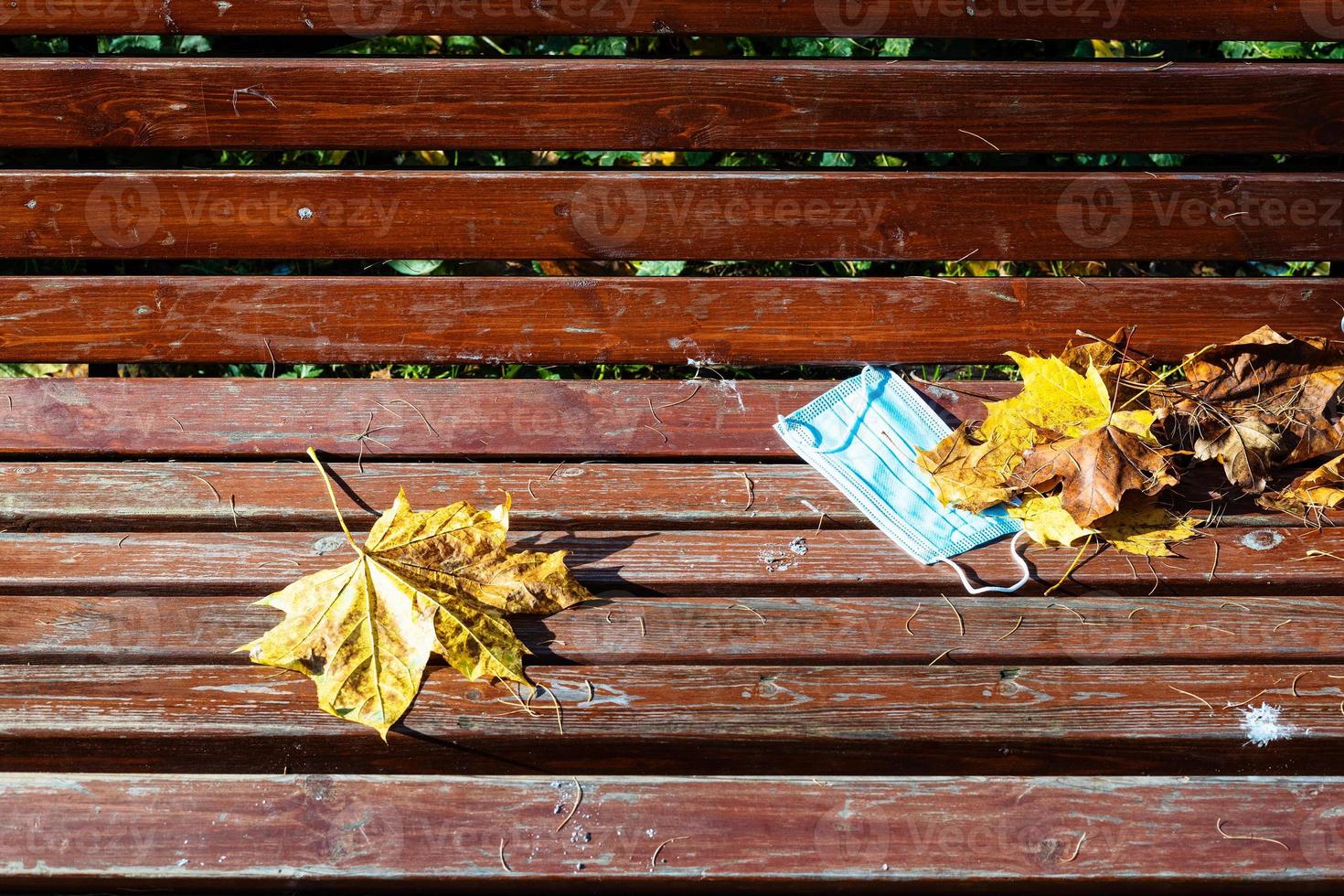 abandoned medical face fask and maple leaves photo