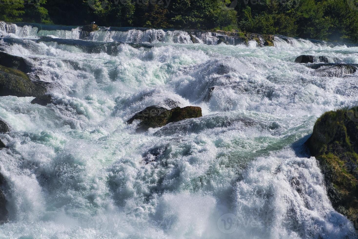 the famous rhine falls in the swiss near the city of Schaffhausen - sunny day and blue sky photo