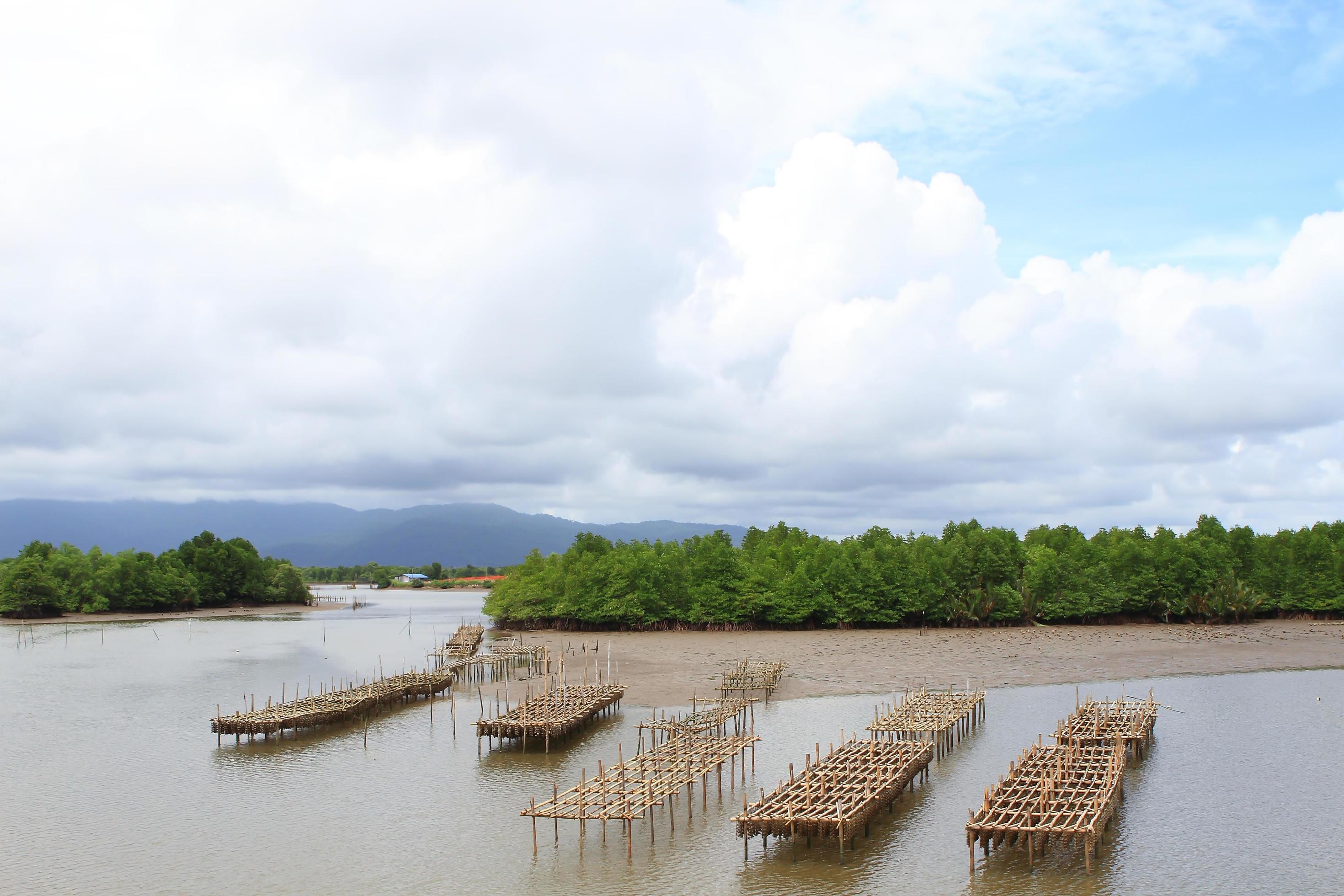 Shellfish farm, Thailand 10324858 Stock Photo at Vecteezy