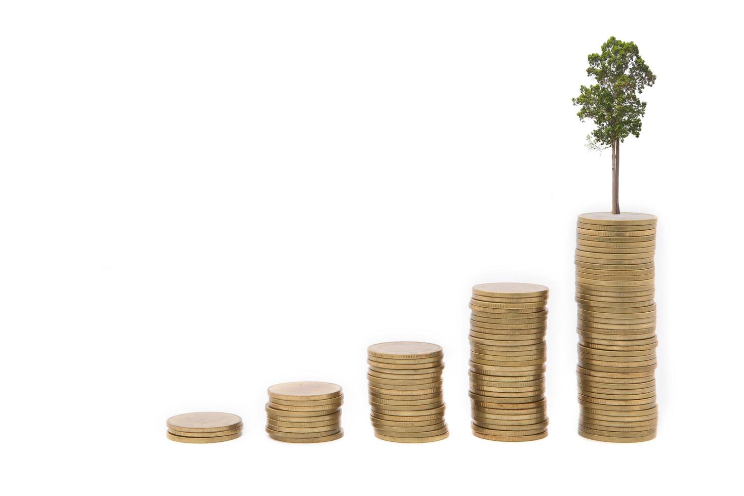 gold coins and plant isolated on white photo