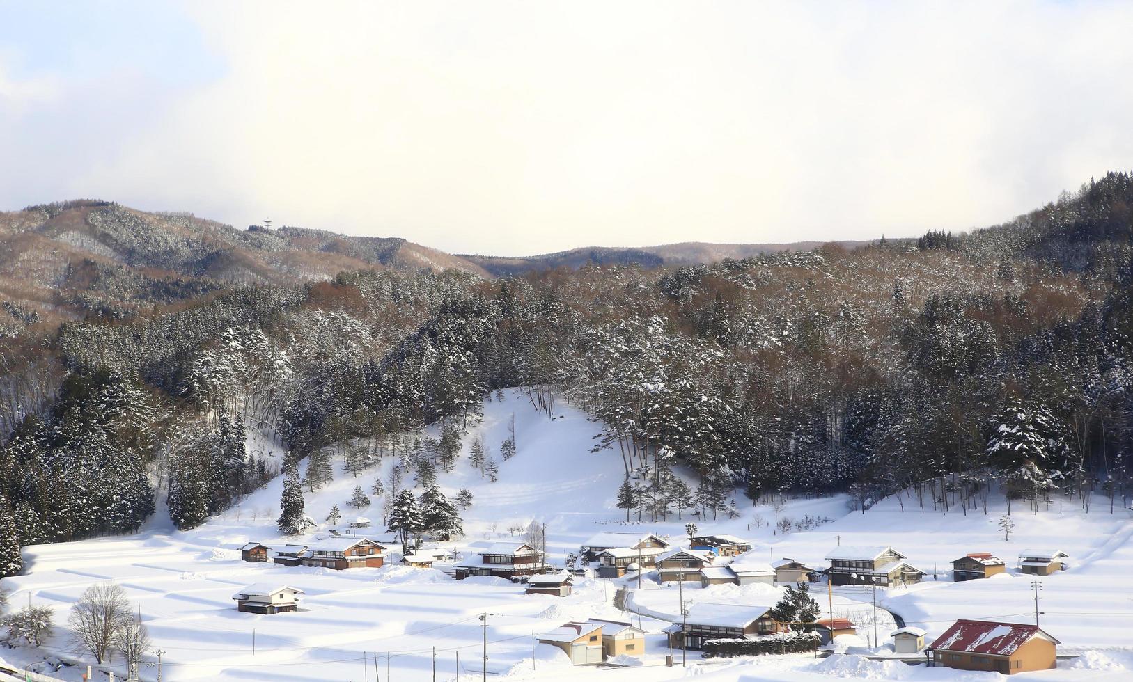 casas cubiertas de nieve foto