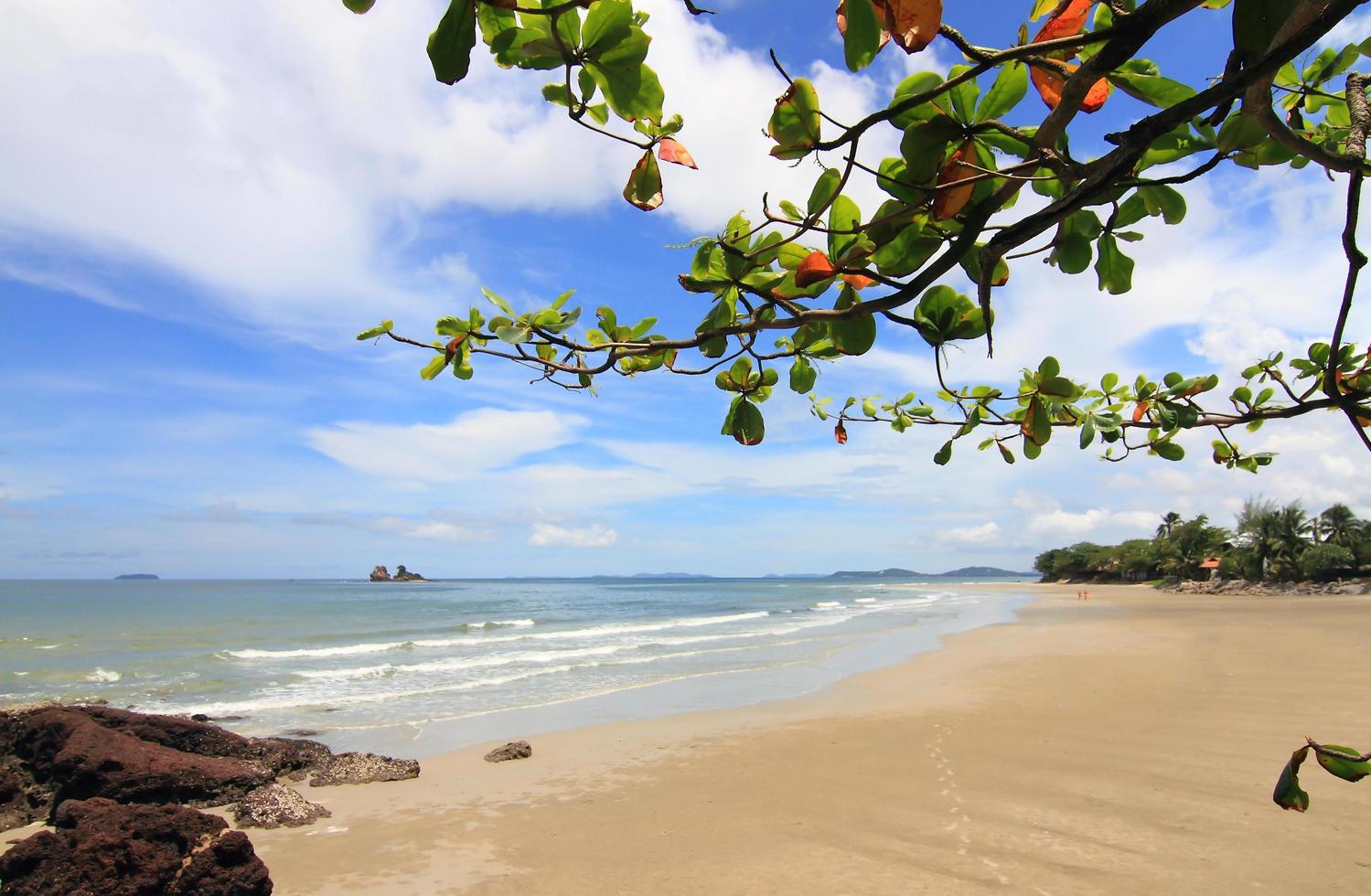 beach and beautiful tropical sea photo