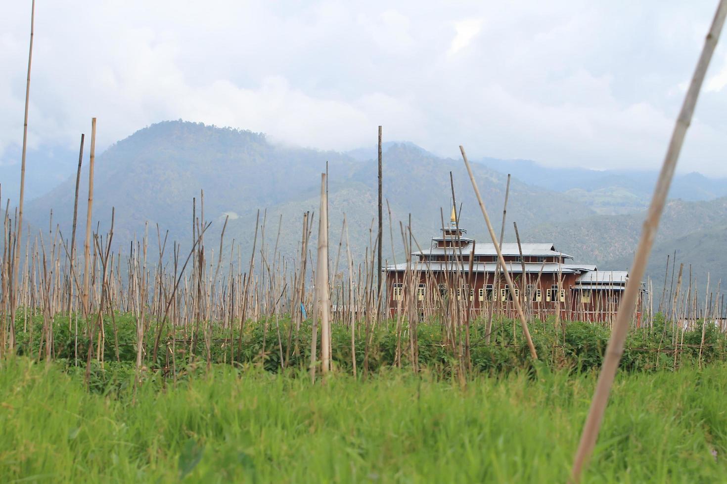 Floating gardens, Inle Lake photo