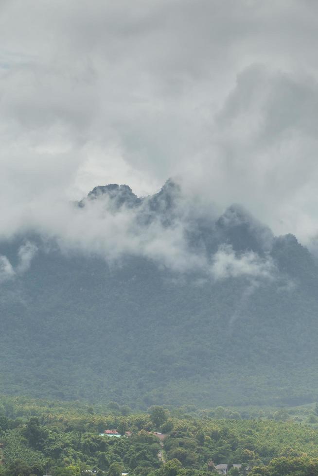 beautiful mountain scenery ,forest and misty photo