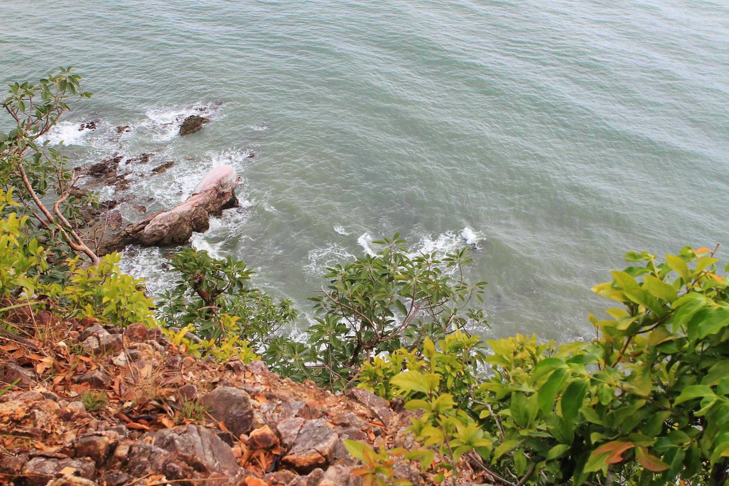 Stones on the tropical beach photo