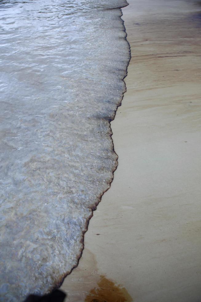 derrame de petróleo del golfo se muestra en una playa foto