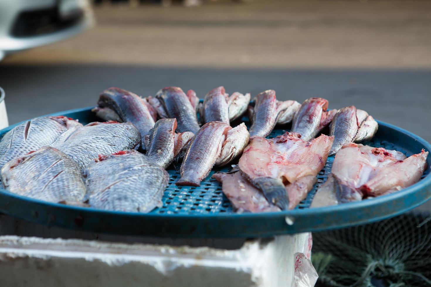 fresh seafood on the market in Thailand photo