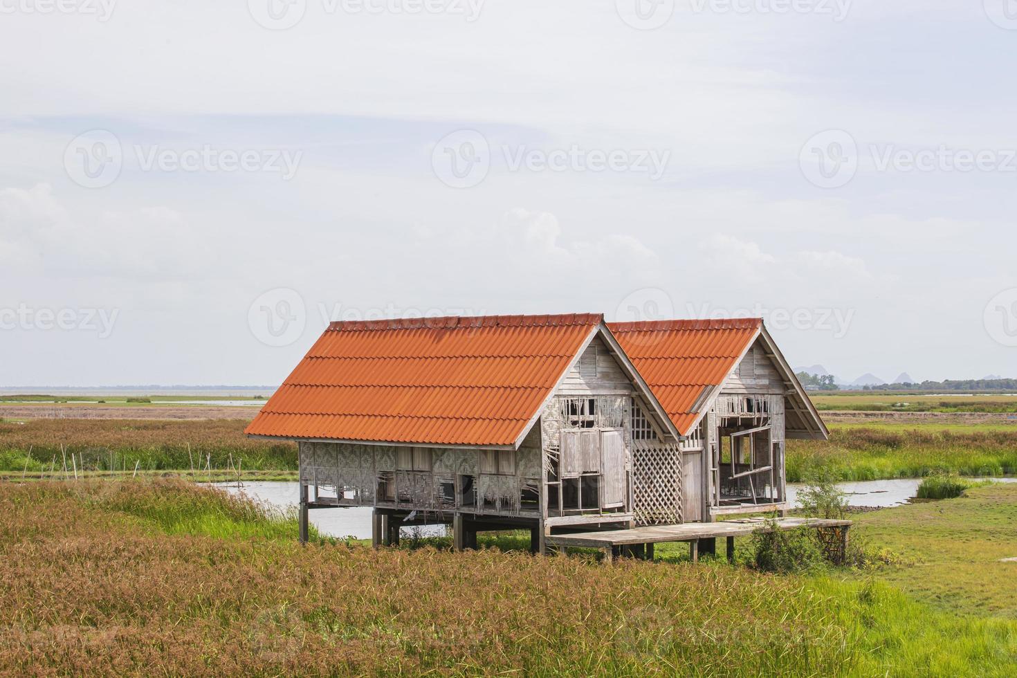 thale noi, phathhalung foto