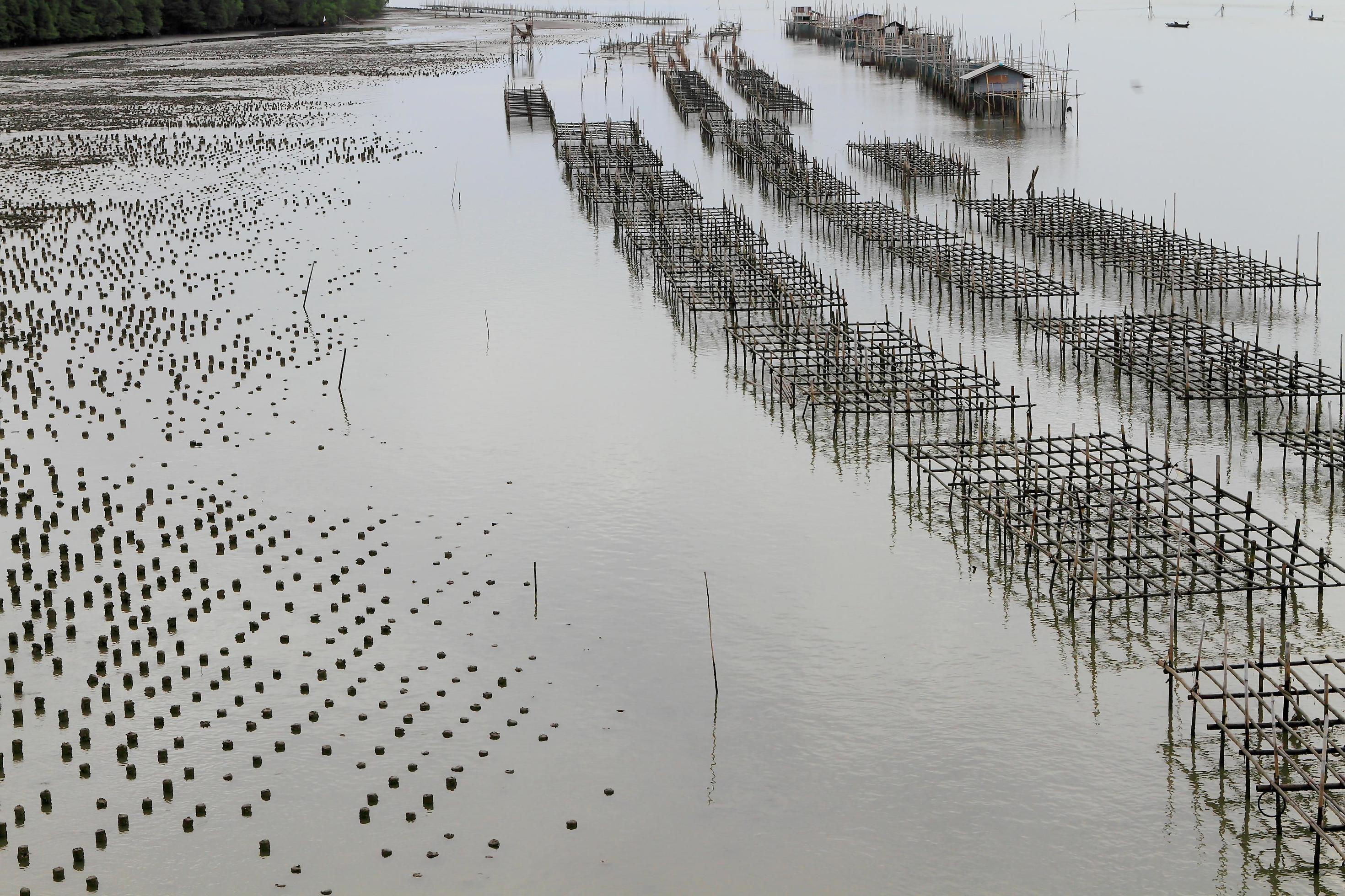 Shellfish farm, Thailand 10326520 Stock Photo at Vecteezy