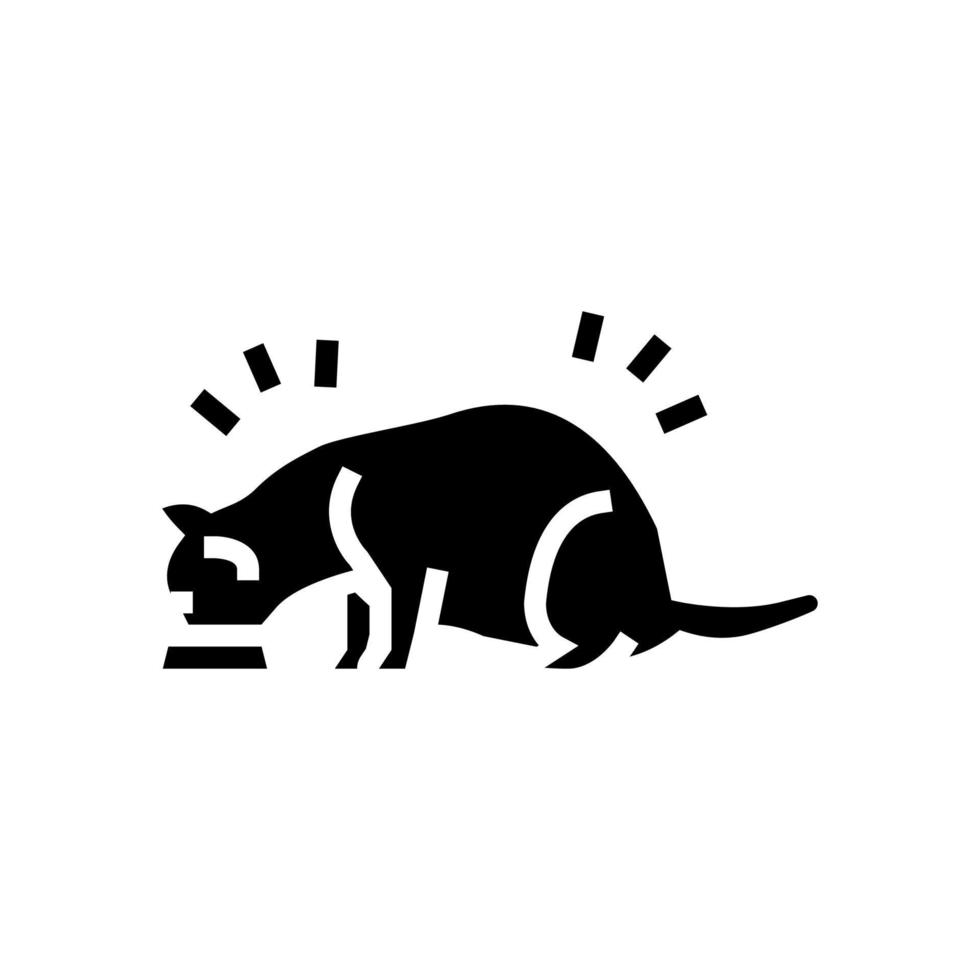 cat eating food glyph icon vector illustration