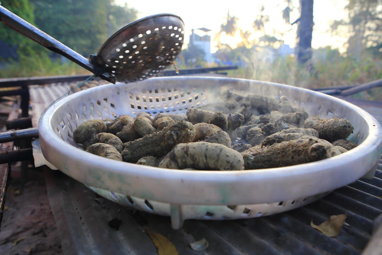Drying Sea Cucumber Outdoor 10326799 Stock Photo at Vecteezy