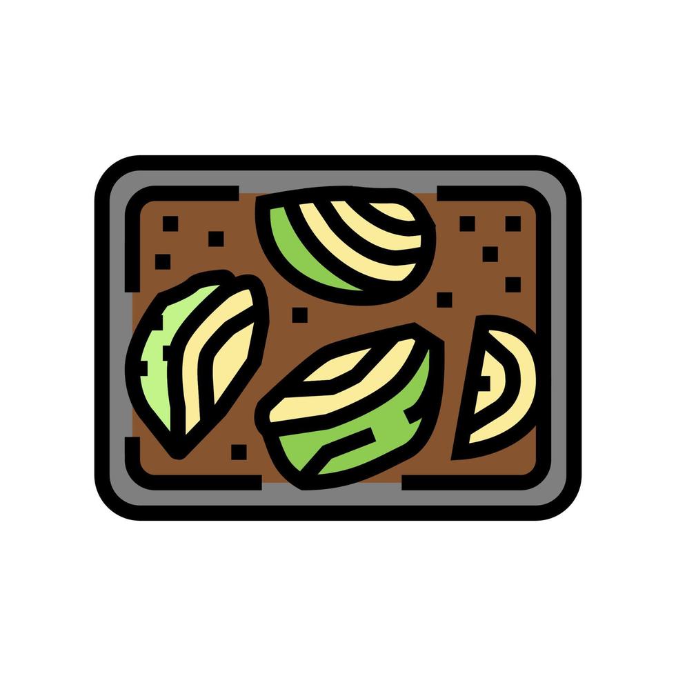 roasted cabbage color icon vector illustration