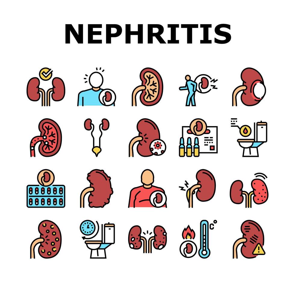conjunto de iconos de colección de riñones de nefritis vector