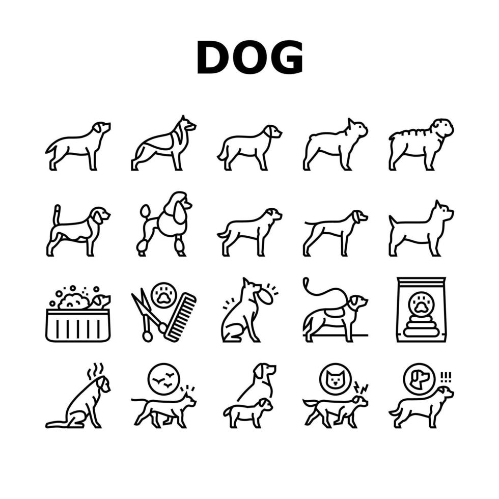 perro, animal doméstico, colección, iconos, conjunto, vector