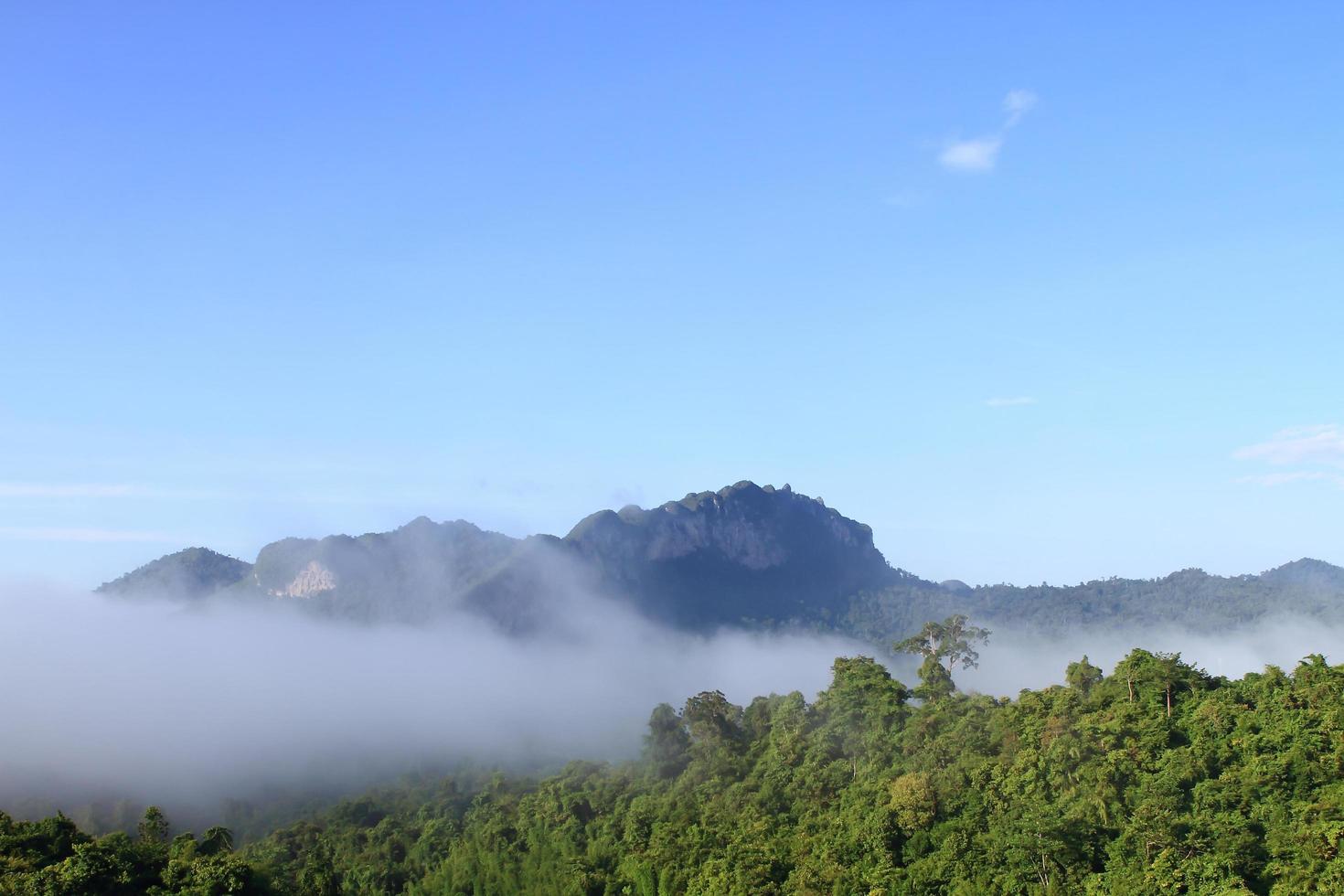 Atmosphere morning on mountain , Thailand photo